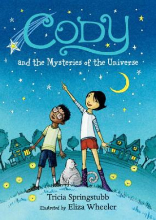 Kniha Cody and the Mysteries of the Universe Tricia Springstubb