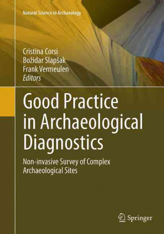Buch Good Practice in Archaeological Diagnostics Cristina Corsi