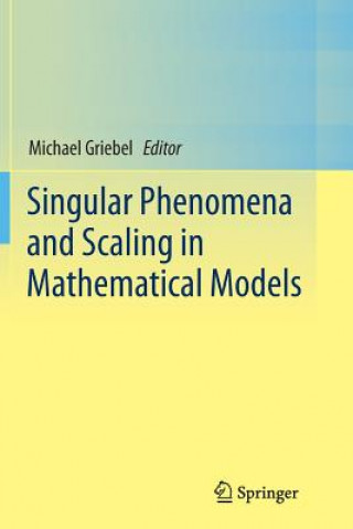 Libro Singular Phenomena and Scaling in Mathematical Models Michael Griebel