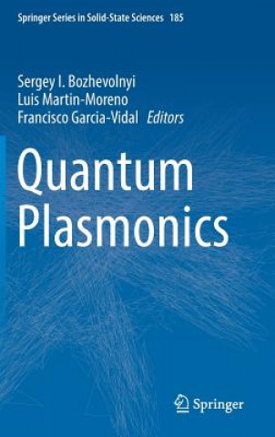 Kniha Quantum Plasmonics Sergey Bozhevolnyi