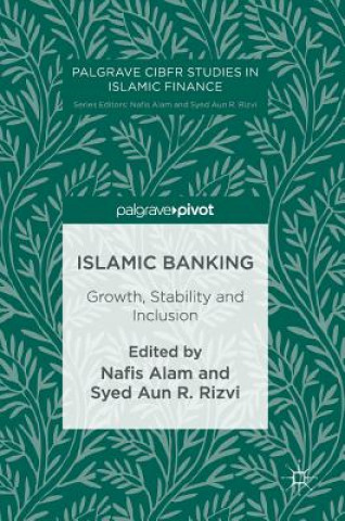 Buch Islamic Banking Nafis Alam