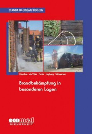 Książka Standard-Einsatz-Regeln: Brandbekämpfung in besonderen Lagen Ulrich Cimolino