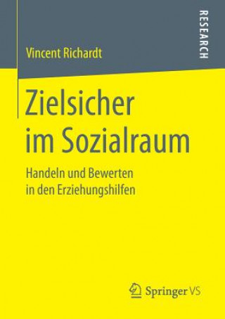 Kniha Zielsicher Im Sozialraum Vincent Richardt