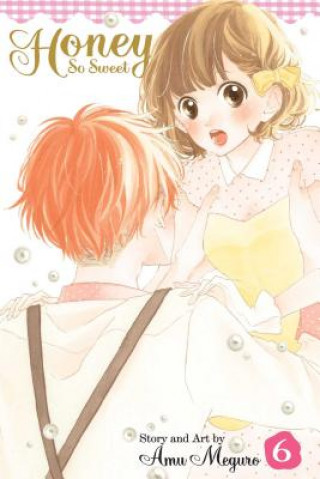 Kniha Honey So Sweet, Vol. 6 Amu Meguro