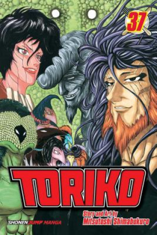 Kniha Toriko, Vol. 37 Mitsutoshi Shimabukuro