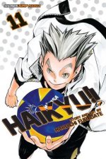 Könyv Haikyu!!, Vol. 11 Haruichi Furudate