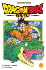 Carte Dragon Ball Super, Vol. 1 Akira Toriyama