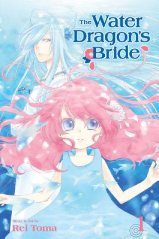 Könyv Water Dragon's Bride, Vol. 1 Rei Toma