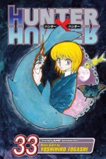 Carte Hunter x Hunter, Vol. 33 Yoshihiro Togashi