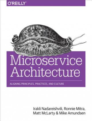 Könyv Microservice Architecture Irakli Nadareishvili
