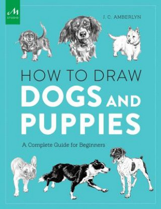 Książka How to Draw Dogs and Puppies J. C. Amberlyn