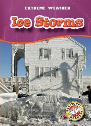 Book Ice Storms Anne Wendorff