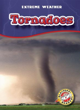 Book Tornadoes Anne Wendorff