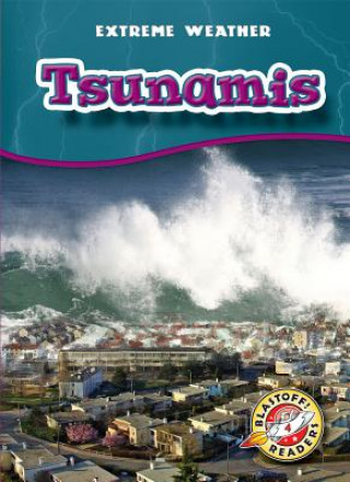 Könyv Tsunamis Anne Wendorff