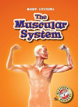 Kniha The Muscular System Kay Manolis