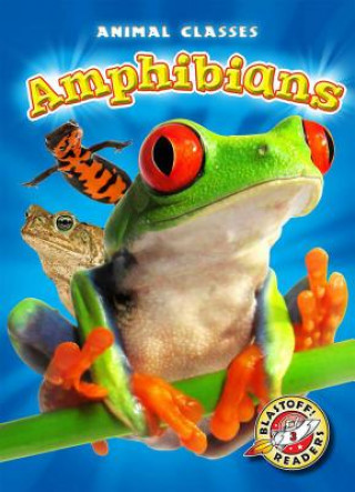 Könyv Amphibians Kari Schuetz