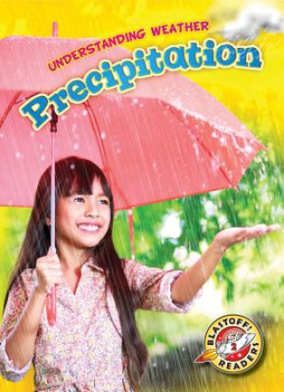 Livro Precipitation Kristin Schuetz