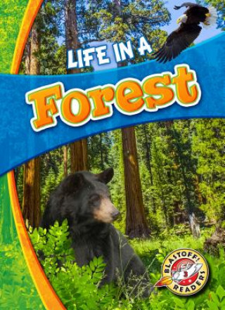 Kniha Life in a Forest Laura Hamilton Waxman