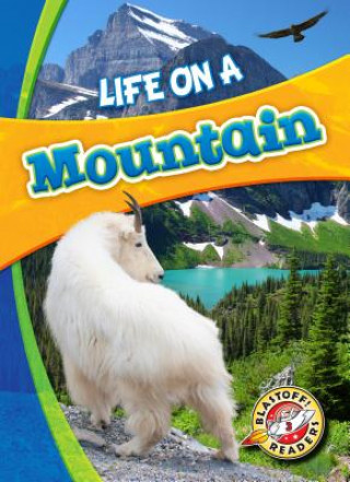 Knjiga Life on a Mountain Laura Hamilton Waxman