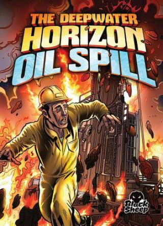 Carte The Deepwater Horizon Oil Spill Adam Stone