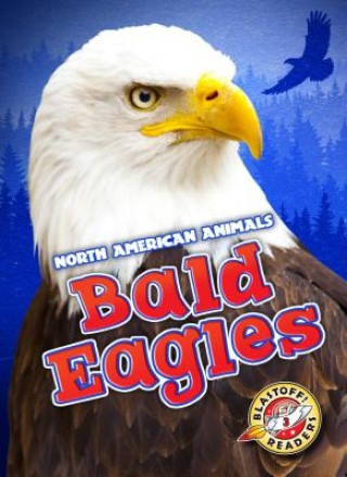 Buch Bald Eagles Chris Bowman