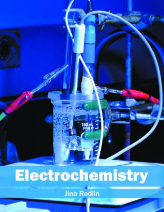 Buch Electrochemistry Jina Redlin