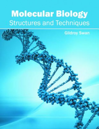 Kniha Molecular Biology: Structures and Techniques Gildroy Swan
