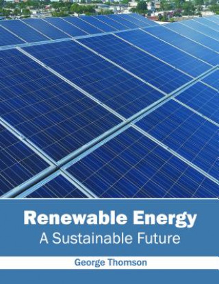 Book Renewable Energy: A Sustainable Future George Thomson