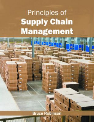 Kniha Principles of Supply Chain Management Bruce Robinson