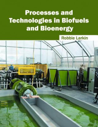 Könyv Processes and Technologies in Biofuels and Bioenergy Robbie Larkin