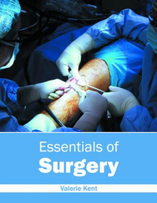 Kniha Essentials of Surgery Valerie Kent