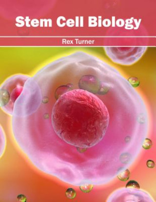 Kniha Stem Cell Biology Rex Turner