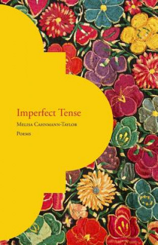 Könyv Imperfect Tense Melisa Cahnmann-Taylor