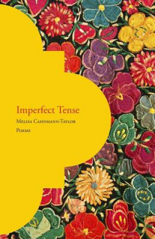 Книга Imperfect Tense Melisa Cahnmann-Taylor