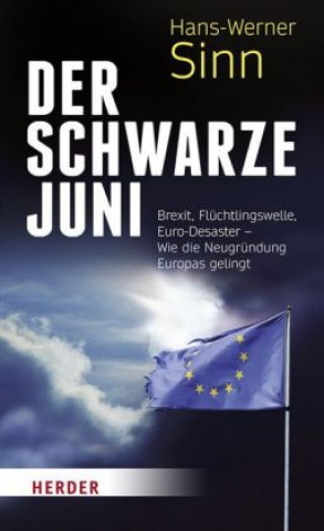 Könyv Der Schwarze Juni Hans-Werner Sinn