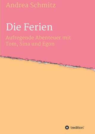 Kniha Die Ferien Andrea Schmitz