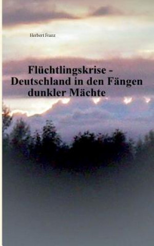 Kniha Fluchtlingskrise - Deutschland in den Fangen dunkler Machte Herbert Franz