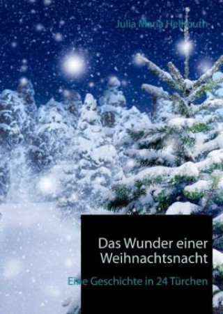 Kniha Das Wunder einer Weihnachtsnacht Julia Maria Hellmuth
