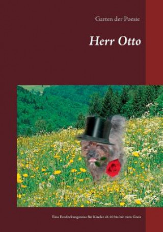 Buch Herr Otto Sabine Brauer
