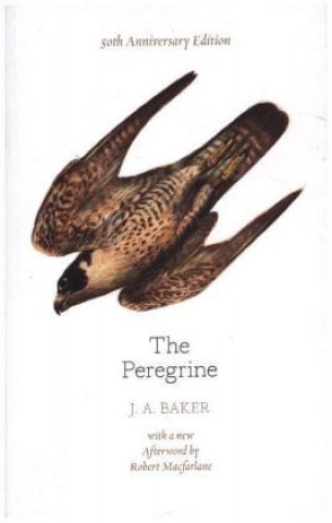 Książka Peregrine: 50th Anniversary Edition J. A. Baker