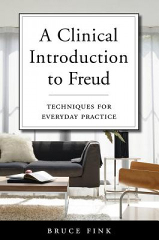 Kniha Clinical Introduction to Freud Bruce Fink
