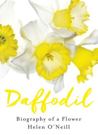 Könyv Daffodil Helen O'Neill