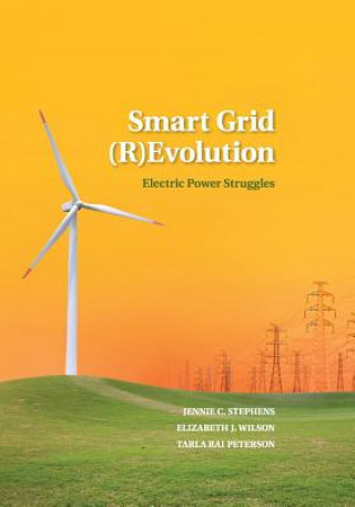 Kniha Smart Grid (R)Evolution STEPHENS  JENNIE C.