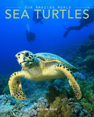 Kniha Sea Turtles Kay de Silva