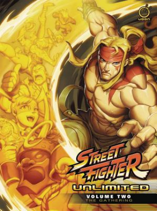 Kniha Street Fighter Unlimited Volume 2: The Gathering Ken Siu Chong