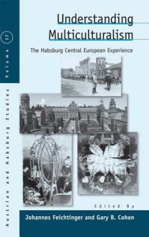 Книга Understanding Multiculturalism Johannes Feichtinger