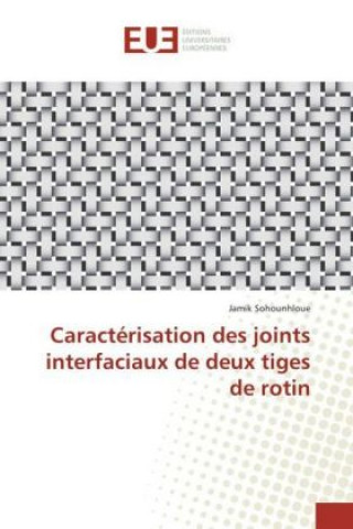 Könyv Caractérisation des joints interfaciaux de deux tiges de rotin Jamik Sohounhloue