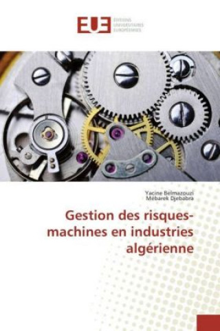 Könyv Gestion des risques-machines en industries algérienne Yacine Belmazouzi