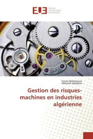 Kniha Gestion des risques-machines en industries algérienne Yacine Belmazouzi