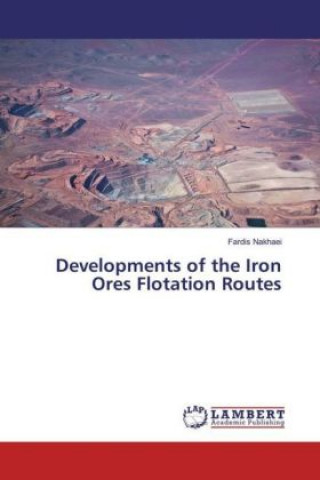 Könyv Developments of the Iron Ores Flotation Routes Fardis Nakhaei